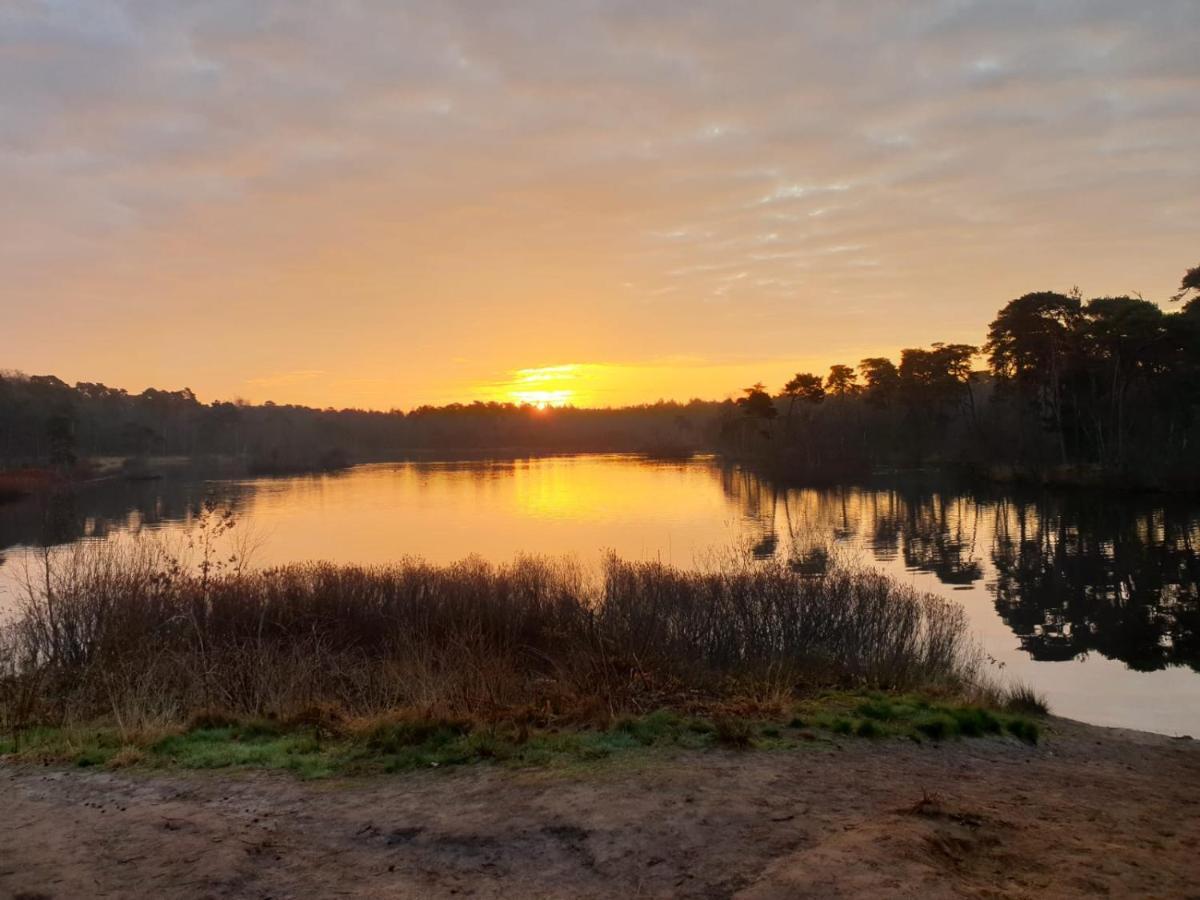 29, Natuurlijk Gelegen Nabij Efteling En Beekse Bergen, Airco & Prive Parkeren Inbegrepen! Oisterwijk Exteriér fotografie
