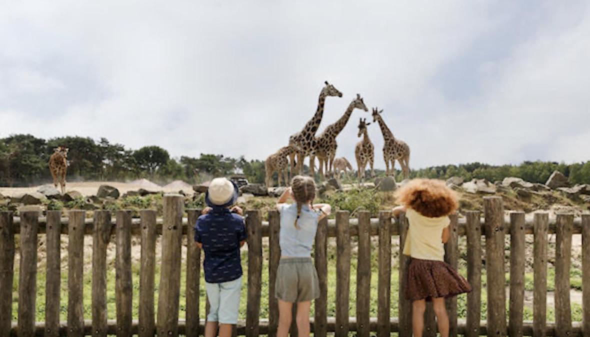 29, Natuurlijk Gelegen Nabij Efteling En Beekse Bergen, Airco & Prive Parkeren Inbegrepen! Oisterwijk Exteriér fotografie