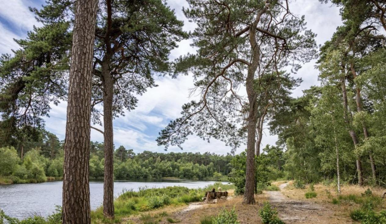 29, Natuurlijk Gelegen Nabij Efteling En Beekse Bergen, Airco & Prive Parkeren Inbegrepen! Oisterwijk Exteriér fotografie