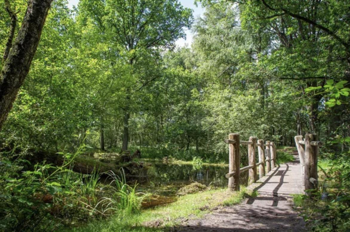 29, Natuurlijk Gelegen Nabij Efteling En Beekse Bergen, Airco & Prive Parkeren Inbegrepen! Oisterwijk Exteriér fotografie